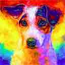 jack russell pup art dog art and abstract dogs, pup art dog pop art prints, abstract dog paintings, abstract dog portraits, pop art pet portraits and dog gifts in colorful original pop art dog art and fine art dog prints by artists Jane Billman and Gregg Billman