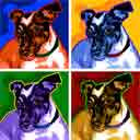 bonsai jack russell pup art dog art and abstract dogs, pup art dog pop art prints, abstract dog paintings, abstract dog portraits, pop art pet portraits and dog gifts in colorful original pop art dog art and fine art dog prints by artists Jane Billman and Gregg Billman