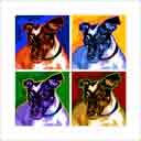 bonsai jack russell headshot pup art dog art and abstract dogs, pup art dog pop art prints, abstract dog paintings, abstract dog portraits, pop art pet portraits and dog gifts in colorful original pop art dog art and fine art dog prints by artists Jane Billman and Gregg Billman
