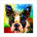 boston terrier headshot pup art dog art and abstract dogs, pup art dog pop art prints, abstract dog paintings, abstract dog portraits, pop art pet portraits and dog gifts in colorful original pop art dog art and fine art dog prints by artists Jane Billman and Gregg Billman