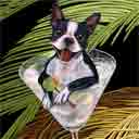 boston terrier dog art and martini dogs, boston terrier dog pop art prints, dog paintings, dog portraits and martini pet portraits in colorful original boston terrier dog art and fine art dog prints by artists Jane Billman and Gregg Billman