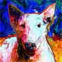 bull terrier headshot pup art dog art and abstract dogs, pup art dog pop art prints, abstract dog paintings, abstract dog portraits, pop art pet portraits and dog gifts in colorful original pop art dog art and fine art dog prints by artists Jane Billman and Gregg Billman