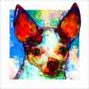 chihuahua frankie headshot pup art dog art and abstract dogs, pup art dog pop art prints, abstract dog paintings, abstract dog portraits, pop art pet portraits and dog gifts in colorful original pop art dog art and fine art dog prints by artists Jane Billman and Gregg Billman