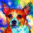 chihuahua pudge pup art dog art and abstract dogs, pup art dog pop art prints, abstract dog paintings, abstract dog portraits, pop art pet portraits and dog gifts in colorful original pop art dog art and fine art dog prints by artists Jane Billman and Gregg Billman