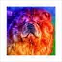 chow chow red headshot pup art dog art and abstract dogs, pup art dog pop art prints, abstract dog paintings, abstract dog portraits, pop art pet portraits and dog gifts in colorful original pop art dog art and fine art dog prints by artists Jane Billman and Gregg Billman