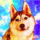 siberian husky red with blue eyes pup art dog art and abstract dogs, pup art dog pop art prints, abstract dog paintings, abstract dog portraits, pop art pet portraits and dog gifts in colorful original pop art dog art and fine art dog prints by artists Jane Billman and Gregg Billman