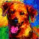labrabull pup art dog art and abstract dogs, pup art dog pop art prints, abstract dog paintings, abstract dog portraits, pop art pet portraits and dog gifts in colorful original pop art dog art and fine art dog prints by artists Jane Billman and Gregg Billman