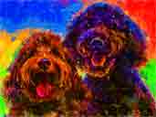labradoodles chocolate and black pup art dog art and abstract dogs, pup art dog pop art prints, abstract dog paintings, abstract dog portraits, pop art pet portraits and dog gifts in colorful original pop art dog art and fine art dog prints by artists Jane Billman and Gregg Billman