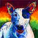 bull terrier pup art dog art and abstract dogs, pup art dog pop art prints, abstract dog paintings, abstract dog portraits, pop art pet portraits and dog gifts in colorful original pop art dog art and fine art dog prints by artists Jane Billman and Gregg Billman