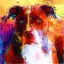 meghan staffordshire bull terrier pup art dog art and abstract dogs, pup art dog pop art prints, abstract dog paintings, abstract dog portraits, pop art pet portraits and dog gifts in colorful original pop art dog art and fine art dog prints by artists Jane Billman and Gregg Billman