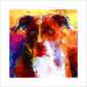 meghan pit bull terrier headshot pup art dog art and abstract dogs, pup art dog pop art prints, abstract dog paintings, abstract dog portraits, pop art pet portraits and dog gifts in colorful original pop art dog art and fine art dog prints by artists Jane Billman and Gregg Billman