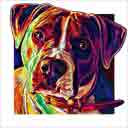 prissy pit bull terrier headshot pup art dog art and abstract dogs, pup art dog pop art prints, abstract dog paintings, abstract dog portraits, pop art pet portraits and dog gifts in colorful original pop art dog art and fine art dog prints by artists Jane Billman and Gregg Billman