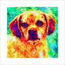 puggle headshot pup art dog art and abstract dogs, pup art dog pop art prints, abstract dog paintings, abstract dog portraits, pop art pet portraits and dog gifts in colorful original pop art dog art and fine art dog prints by artists Jane Billman and Gregg Billman