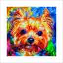 yorkie headshot pup art dog art and abstract dogs, pup art dog pop art prints, abstract dog paintings, abstract dog portraits, pop art pet portraits and dog gifts in colorful original pop art dog art and fine art dog prints by artists Jane Billman and Gregg Billman